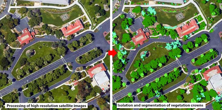The technology of vegetation mapping under the urban setting